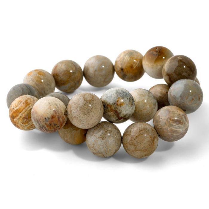 Fossil Jasper 20mm Round - 15-16 Inch