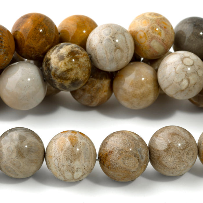 Fossil Jasper 20mm Round - 15-16 Inch