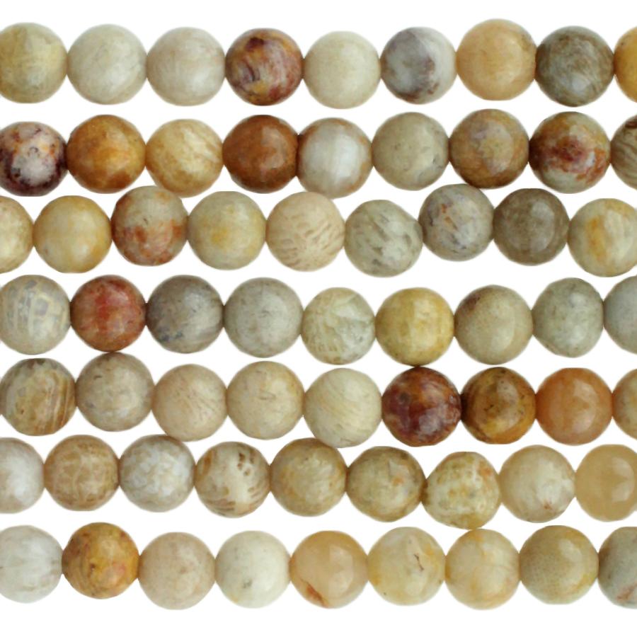 Fossil Coral 4mm Round 8-Inch