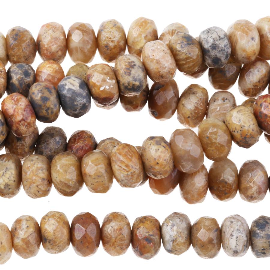 Fossil Coral 6mm Faceted Rondelle 8-Inch