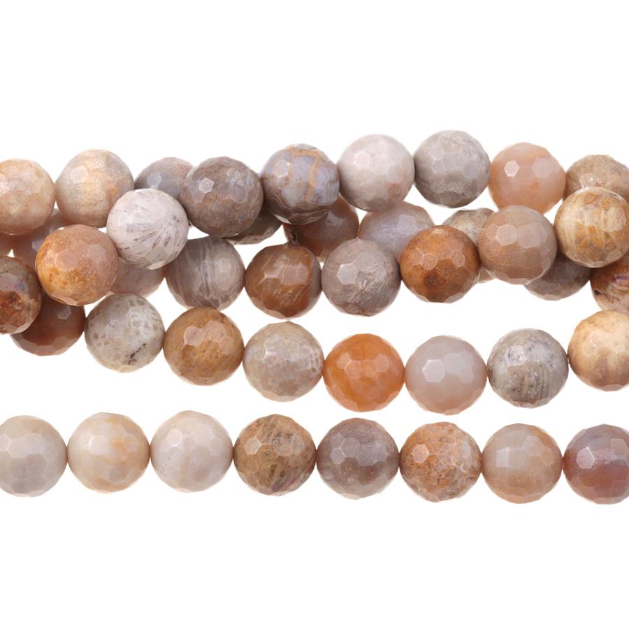 Fossil Coral 8mm Faceted Round 15-16 Inch