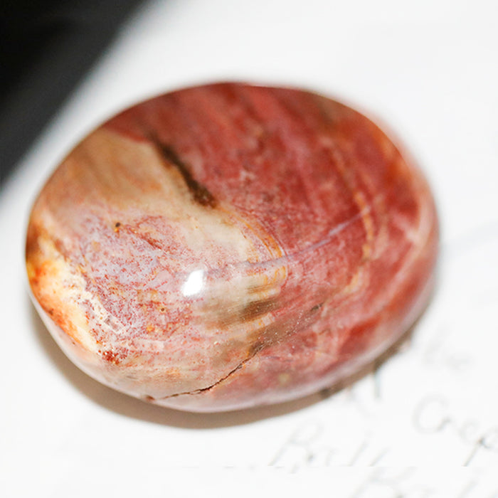 Petrified Wood Agate Pebble Specimen 40x55mm (60-90 grams) - DS ROCK SHOP