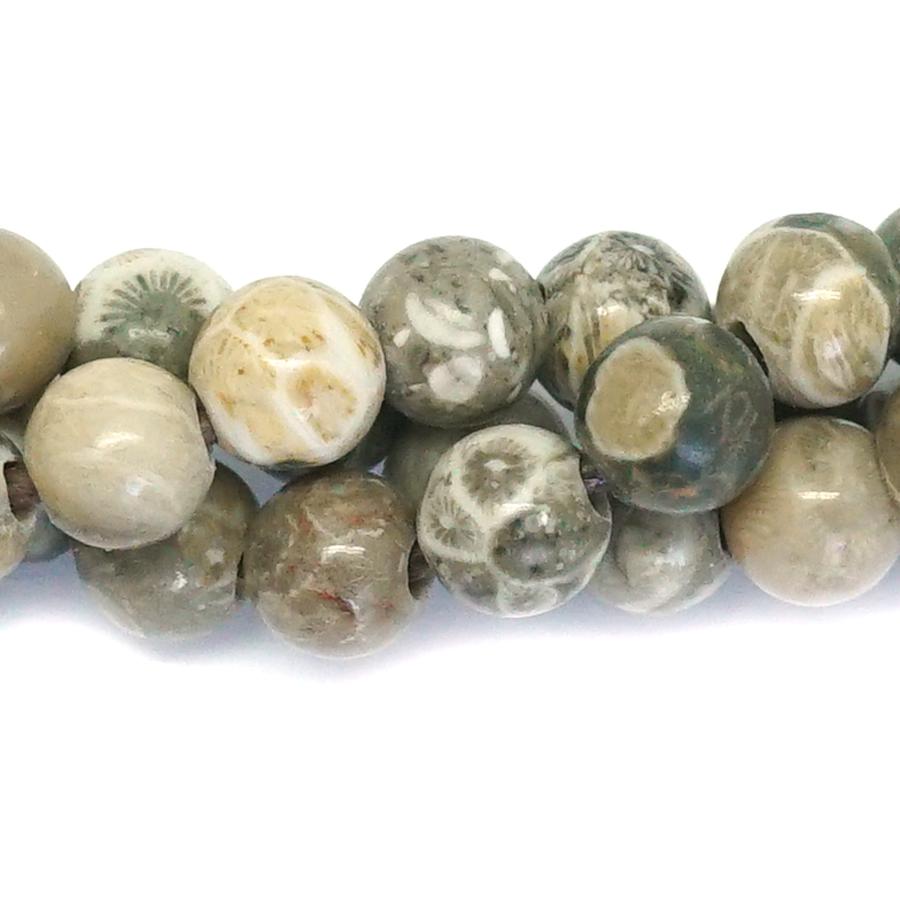 Fossil Coral Gemstone Beads