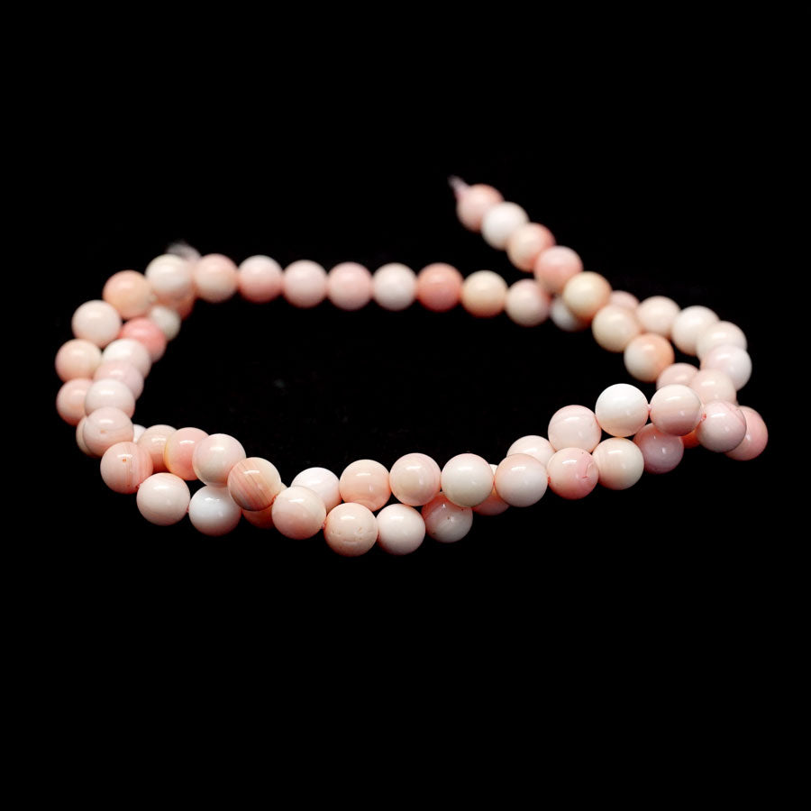 Queen Conch Shell 6mm Round A-Grade - 15-16 Inch — Dakota Stones