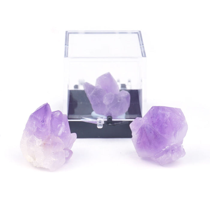 Amethyst 20-40mm Specimen Terrarium - DS ROCK SHOP