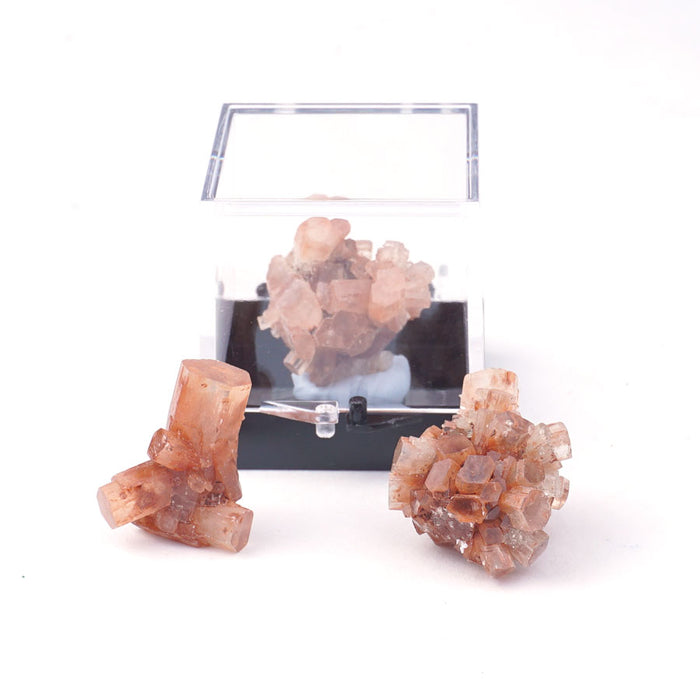 Aragonite 20-40mm Specimen Terrarium - DS ROCK SHOP