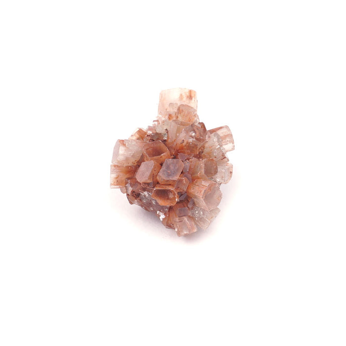 Aragonite 20-40mm Specimen Terrarium - DS ROCK SHOP