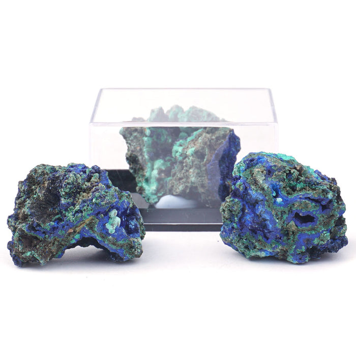 Azurite 30-60mm Specimen Terrarium - DS ROCK SHOP