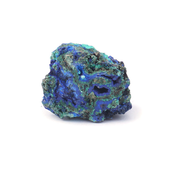 Azurite 30-60mm Specimen Terrarium - DS ROCK SHOP