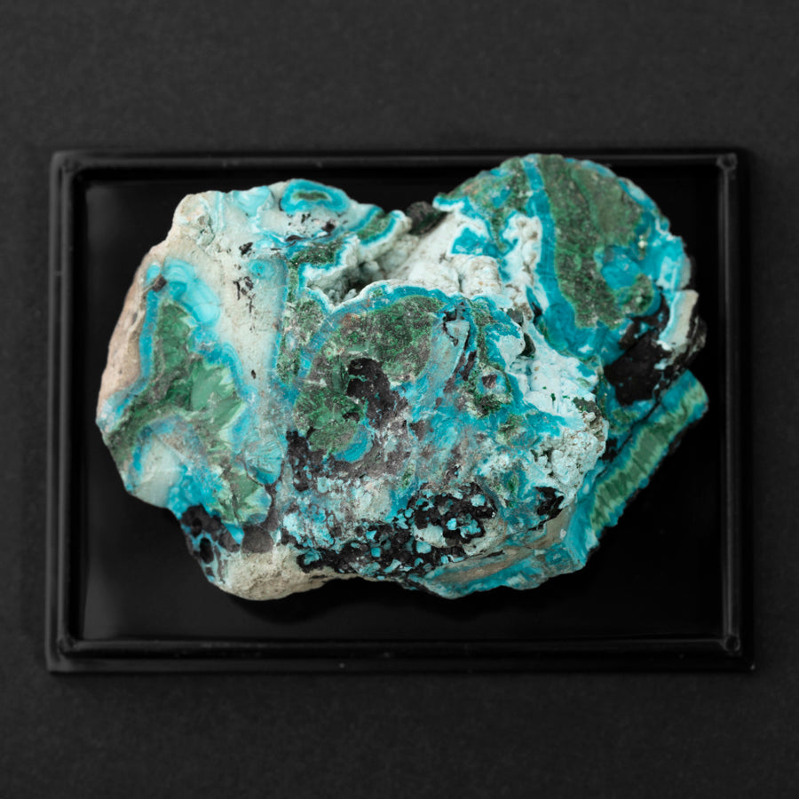 Chrysocolla 30-60mm Specimen - Limited Editions