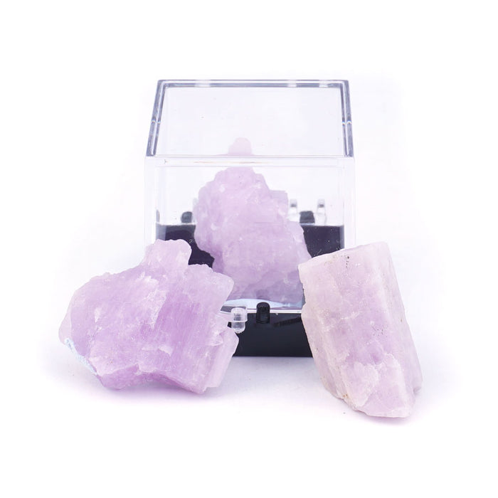 Kunzite 20-40mm Specimen Terrarium - DS ROCK SHOP