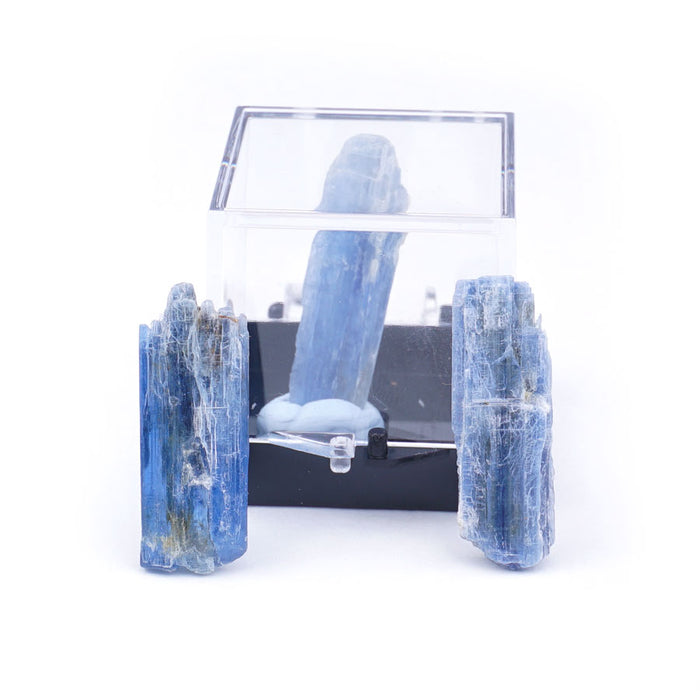 Blue Kyanite 20-40mm Specimen Terrarium - DS ROCK SHOP