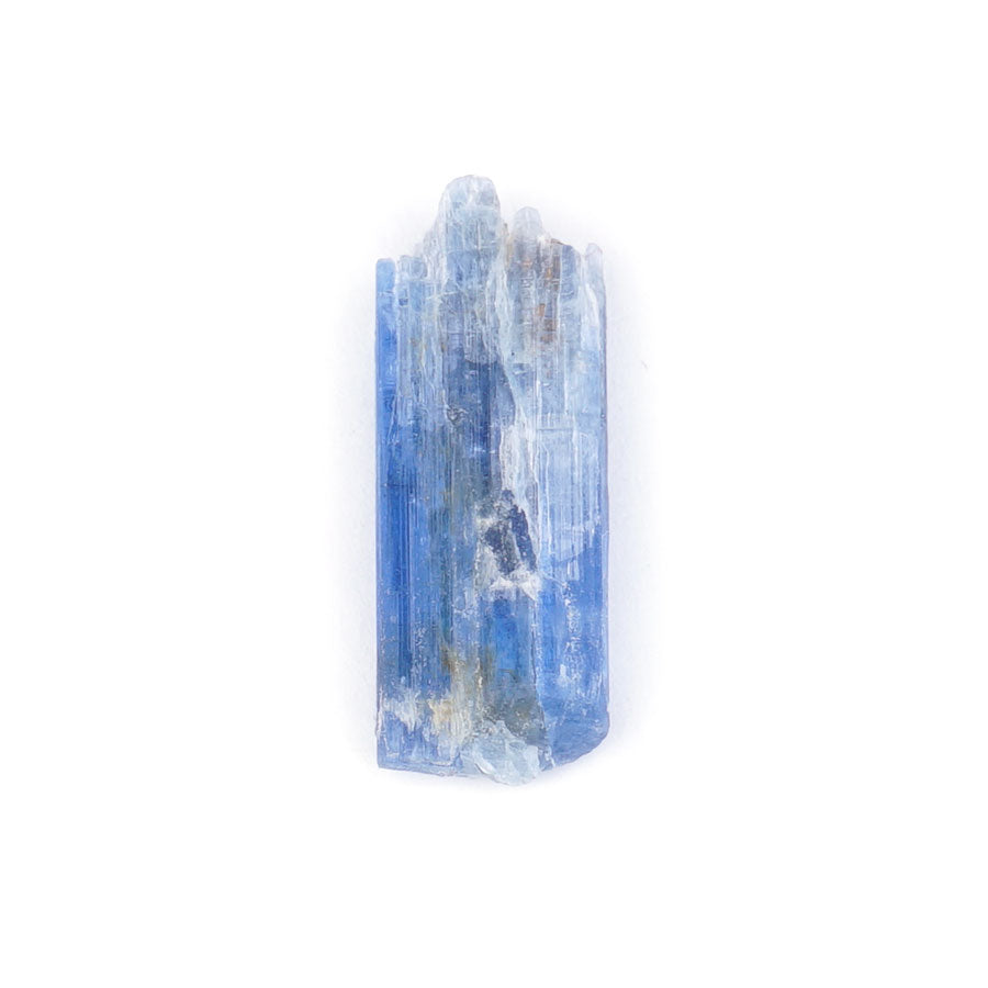 Blue Kyanite 20-40mm Specimen Terrarium - DS ROCK SHOP