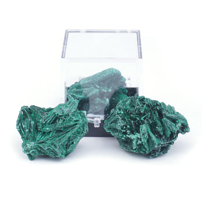 Malachite 20-40mm Specimen Terrarium - DS ROCK SHOP