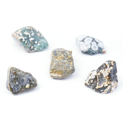 This is a Dakota Stones Ocean Jasper Pkg specimen from the Dakota Stones collection.
