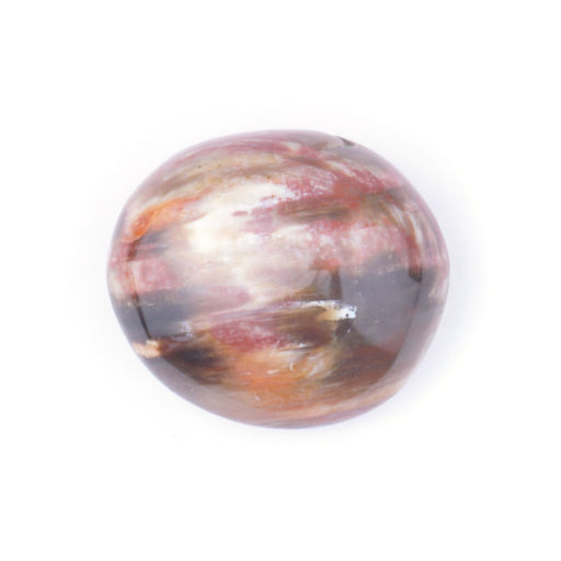 This is a Dakota Stones Petrified Wood specimen from the Dakota Stones collection.