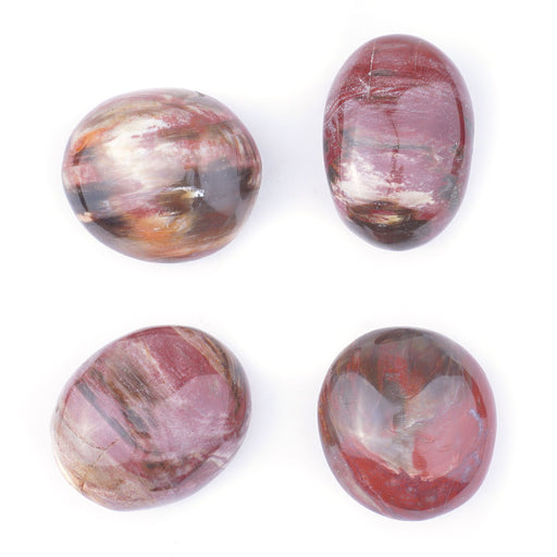 This is a Dakota Stones Petrified Wood specimen from the Dakota Stones collection.
